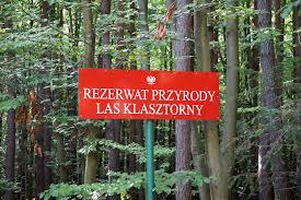 Rezerwat Las Klasztorny